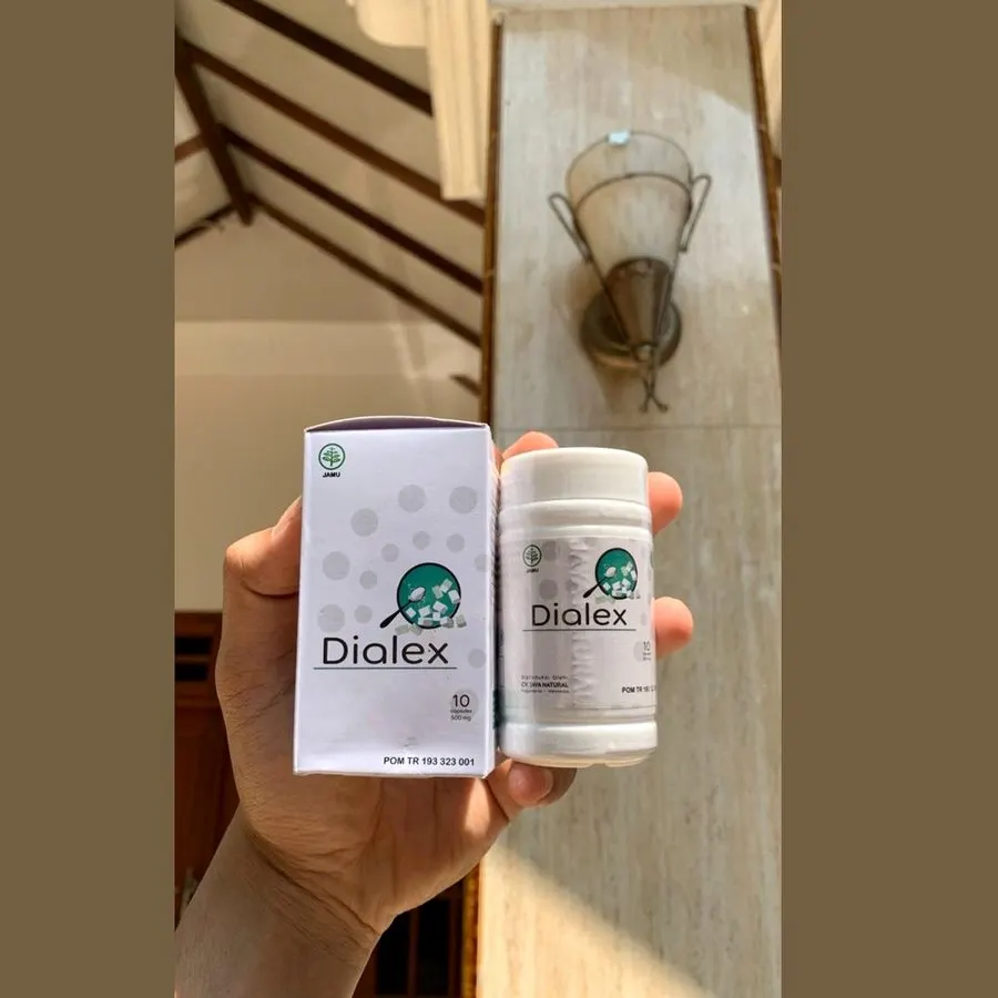 Dialex — gambar 1