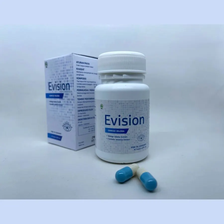Evision — gambar 1