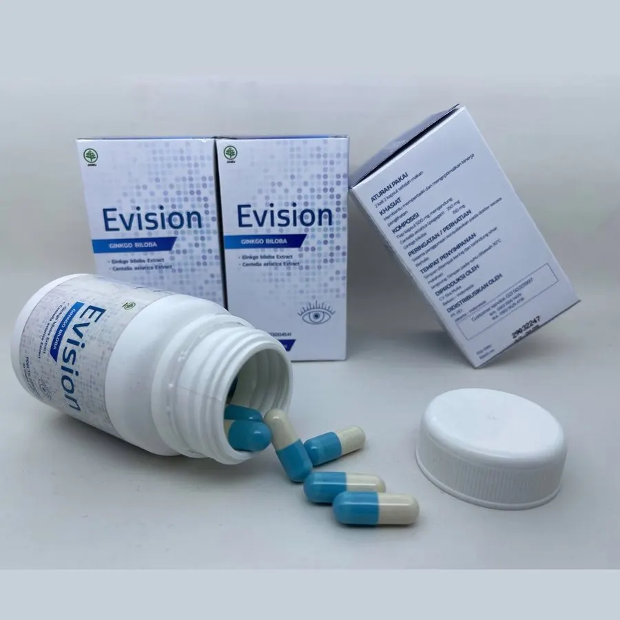 Evision — gambar 2