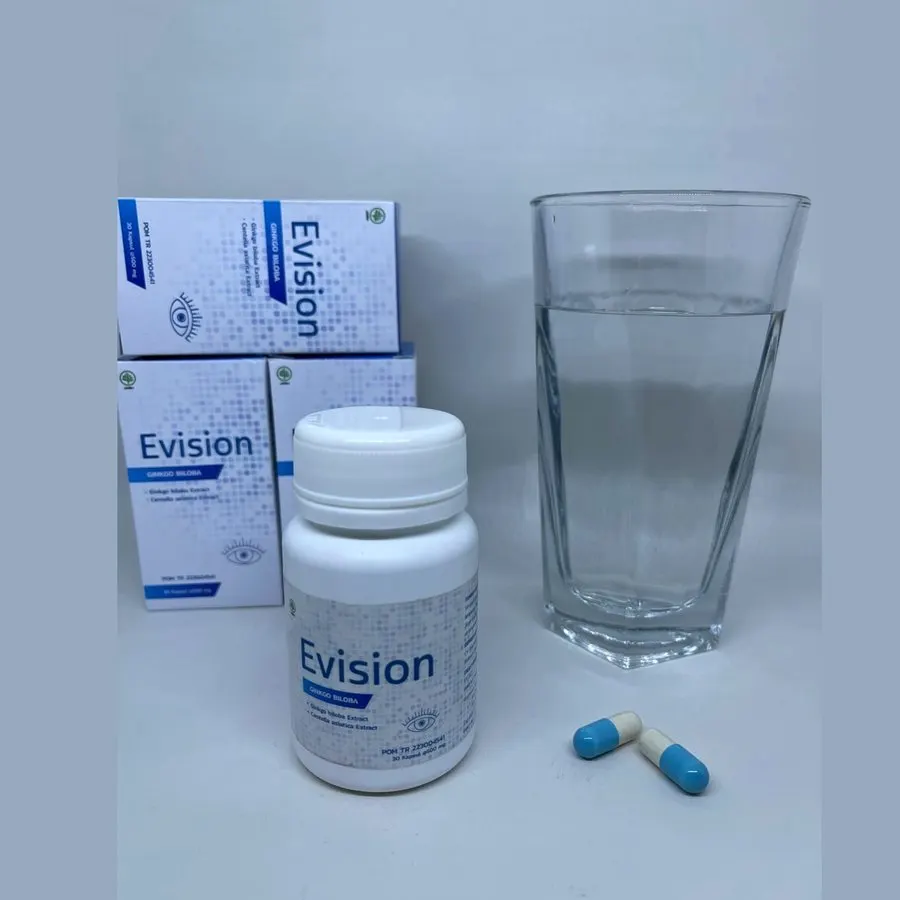 Evision — gambar 3