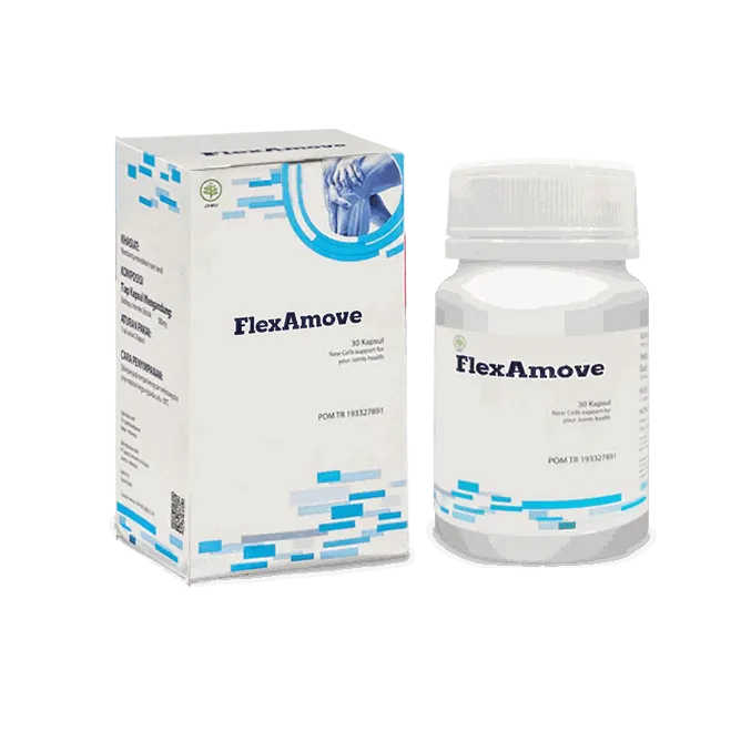 FlexAmove — gambar 2