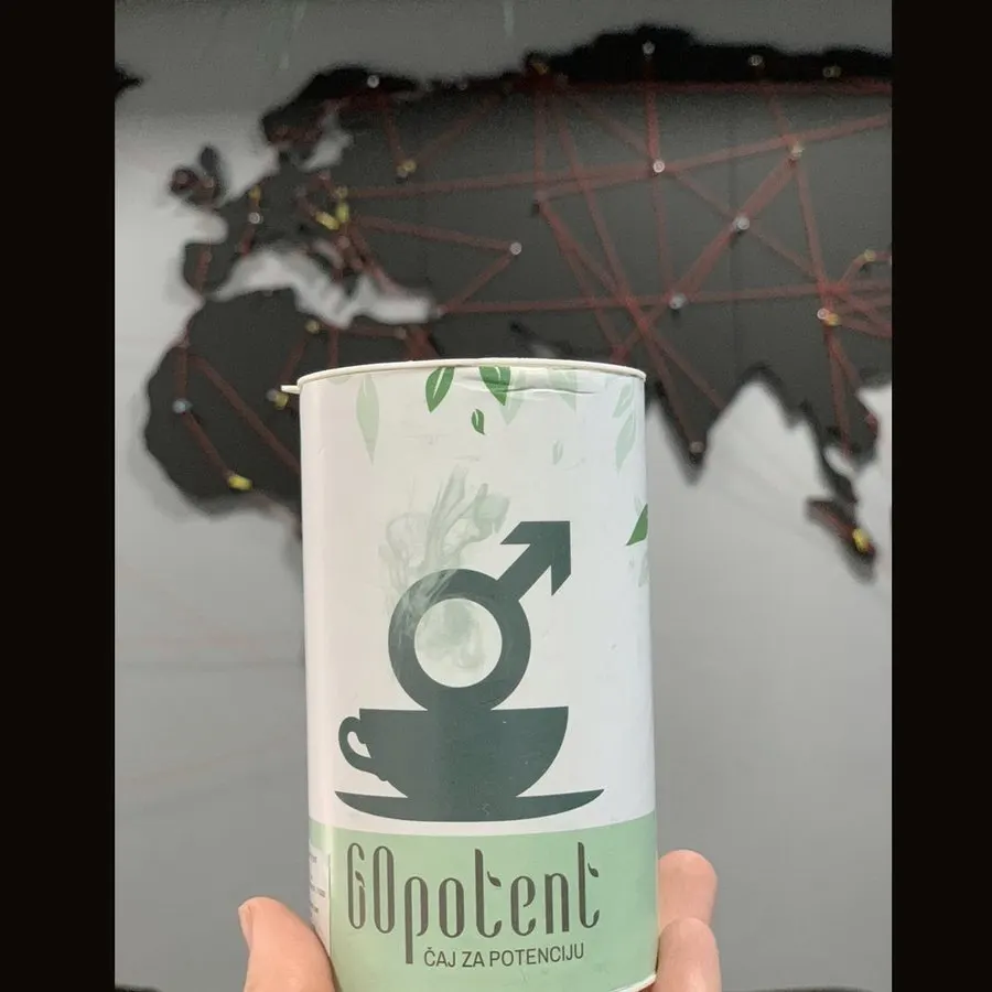 GoPotent — pamje e artikullit 2