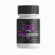 HomoErectus