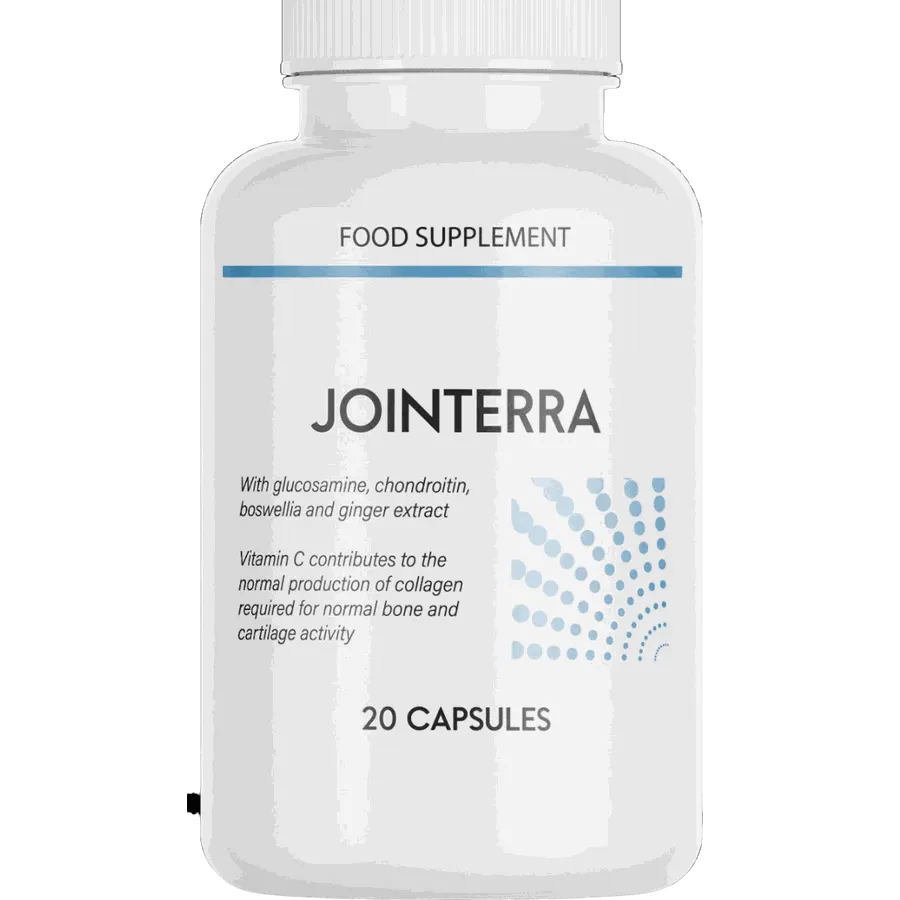 Jointerra