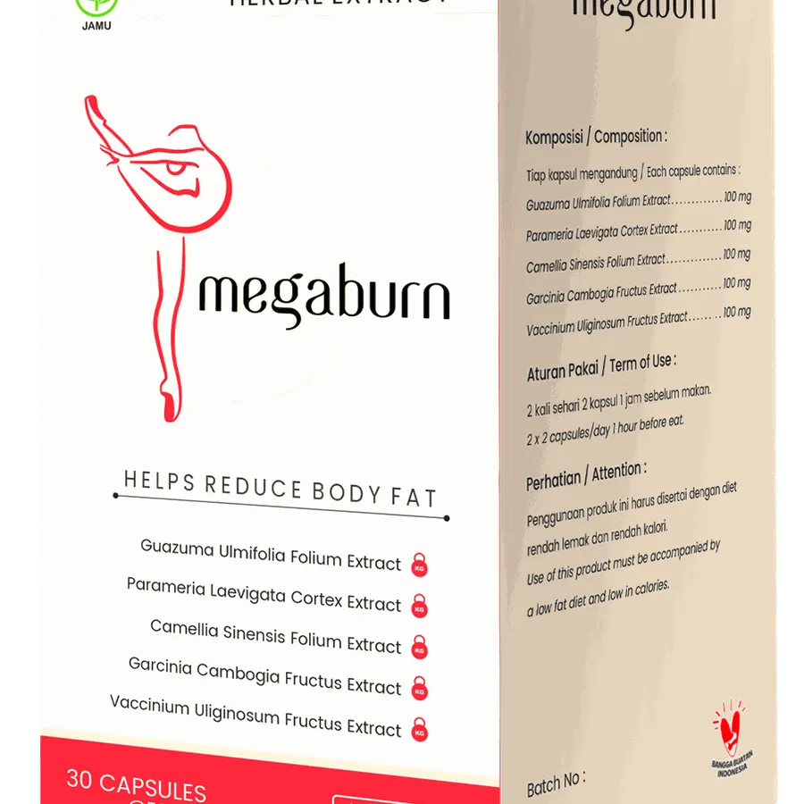 Megaburn — gambar 1