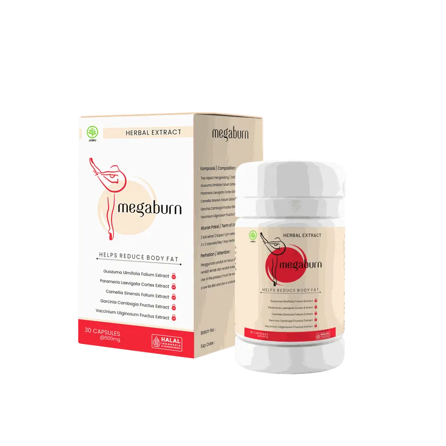 Megaburn — gambar 3