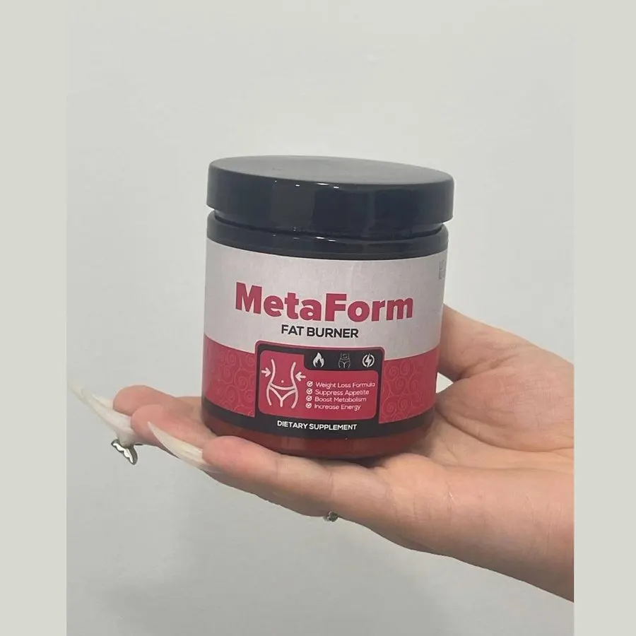 MetaForm — pamje e artikullit