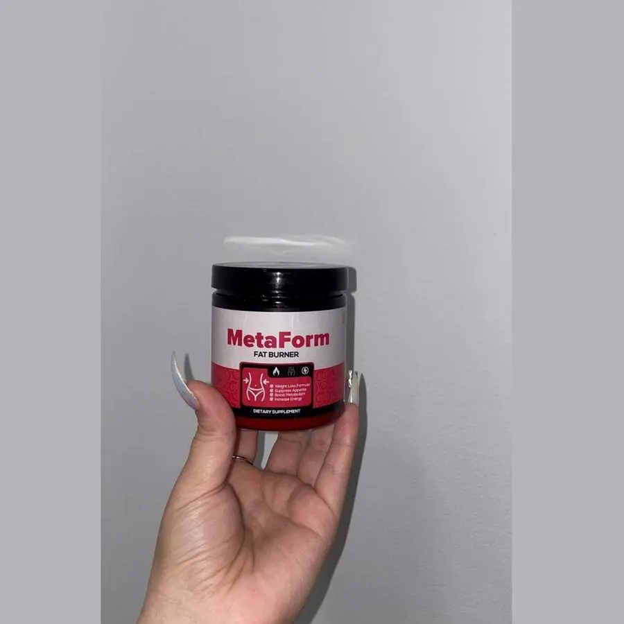 MetaForm — pamje e artikullit 2