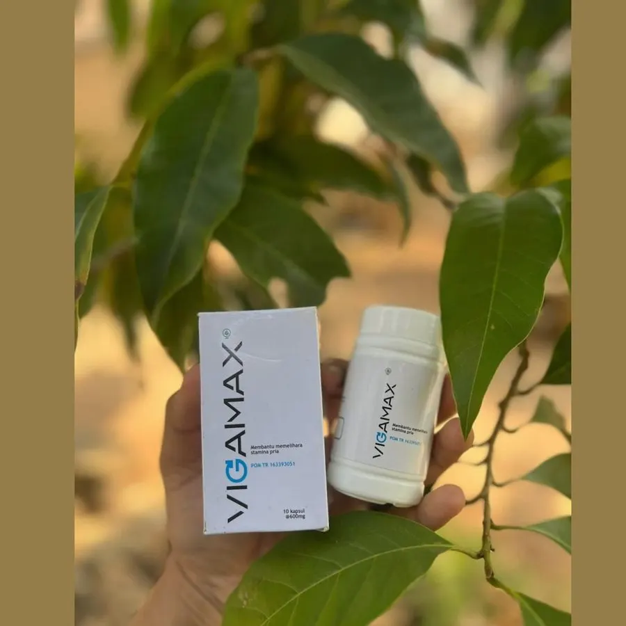 Vigamax — gambar 2
